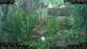 Nakhon Ratchasima (Korat) 10.05.2025 11:47