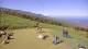 Saint-Leu 09.06.2025 11:06
