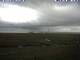 Hallig Hooge 09.07.2025 11:47