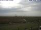 Hallig Hooge 15.06.2025 11:47