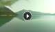 Walchensee 08.06.2025 11:06