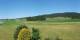 Les Taillères 11.07.2025 11:56