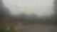 Madison, Tennessee 29.04.2025 11:31