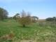 Dartmoor 30.04.2025 11:47
