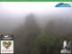 Oberweißbach 02.07.2025 11:07