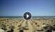 Rimini 14.07.2025 11:19