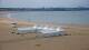 Royan 14.06.2025 11:08