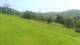 Zawoja 14.06.2025 11:09