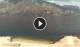 Malcesine (Lac de Garde) 15.06.2025 11:09