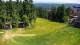 Zieleniec 30.06.2025 11:09