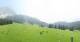 Ehrwald 08.06.2025 11:10