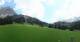 Ehrwald 11.05.2025 11:10