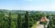 Glanz an der Weinstraße 23.05.2025 11:10