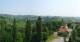 Glanz an der Weinstraße 09.06.2025 11:10