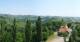 Glanz an der Weinstraße 15.06.2025 11:10