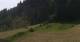 Going am Wilden Kaiser 09.06.2025 11:10
