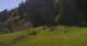 Going am Wilden Kaiser 11.05.2025 11:10