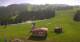 Rohrberg 08.06.2025 11:10