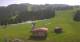 Rohrberg 09.06.2025 11:10