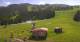 Rohrberg 15.06.2025 11:10