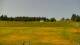 Zieleniec 15.06.2025 11:10