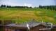 Zieleniec 09.06.2025 11:10