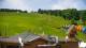 Zieleniec 15.06.2025 11:10