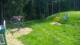Zieleniec 15.06.2025 11:10