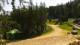 Karpacz 15.06.2025 11:10
