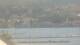 Balaruc-les-Bains 30.04.2025 11:11