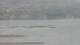 Balaruc-les-Bains 29.04.2025 11:11
