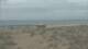 Alvor (Algarve) 10.07.2025 11:28