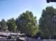 Julianadorp 10.05.2025 11:11
