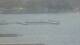 Balaruc-les-Bains 30.04.2025 11:11