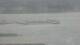 Balaruc-les-Bains 29.04.2025 11:11