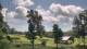 Davidsonville, Maryland 09.07.2025 11:32