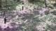 Milford, Ohio 18.05.2025 11:32