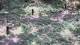Milford, Ohio 03.07.2025 11:32
