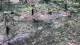 Milford, Ohio 29.04.2025 11:32