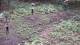 Milford, Ohio 14.06.2025 11:32