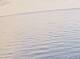 AIDAbella 15.03.2025 11:12