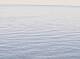 AIDAbella 14.03.2025 11:12