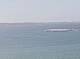 AIDAmar 30.04.2025 11:12