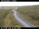 Skinnastaður 15.06.2025 11:12