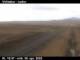 Víðidalur 29.04.2025 11:12