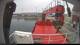 Minik Arctica 15.06.2025 11:12