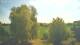 Mandelsloh 30.04.2025 11:12