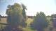Mandelsloh 11.06.2025 11:12