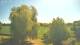 Mandelsloh 17.04.2025 11:12