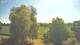 Mandelsloh 11.05.2025 11:12